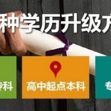 成都市金牌思維教育咨詢有限責任公司 專業(yè)教育咨詢，點亮成長之路